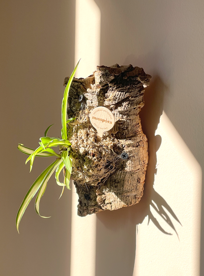 Jardín Vertical de Planta Cinta