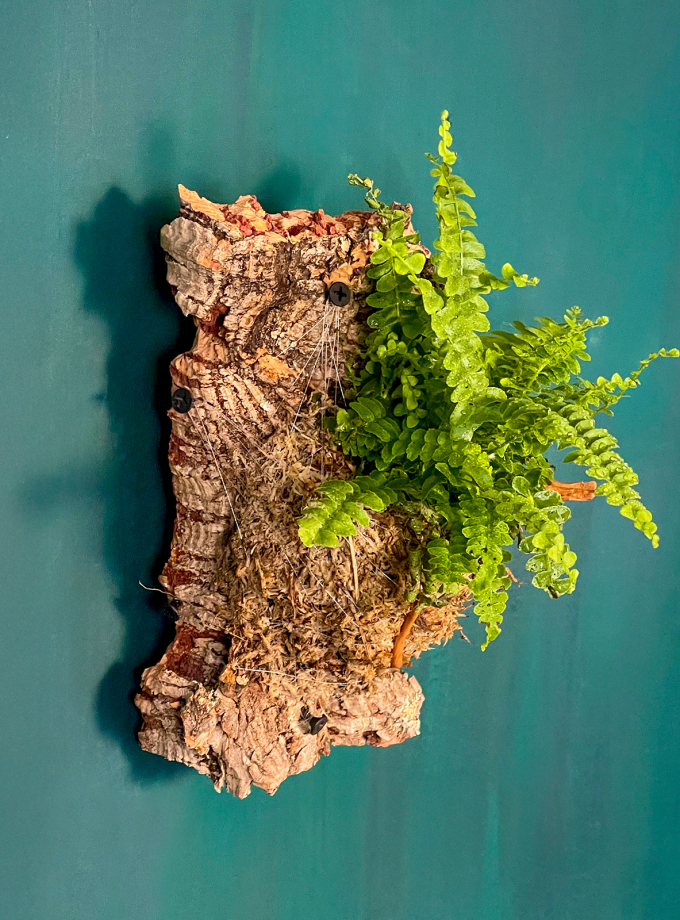 Jardín Vertical de Helecho