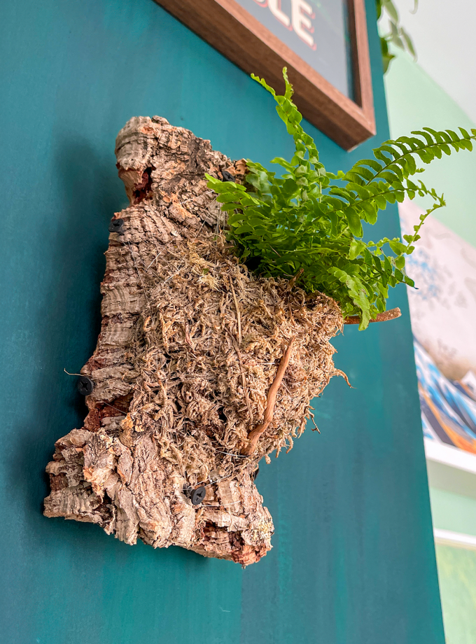 Jardín Vertical de Helecho