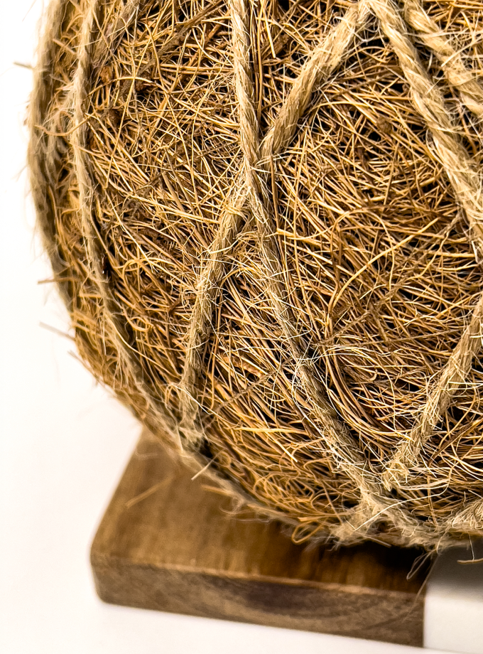 Kokedama de Fibra de Coco con Areca