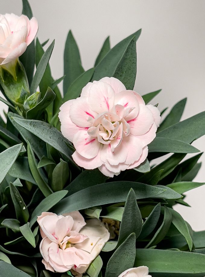 Kokedama de Fibra de Coco con Clavelina rosa