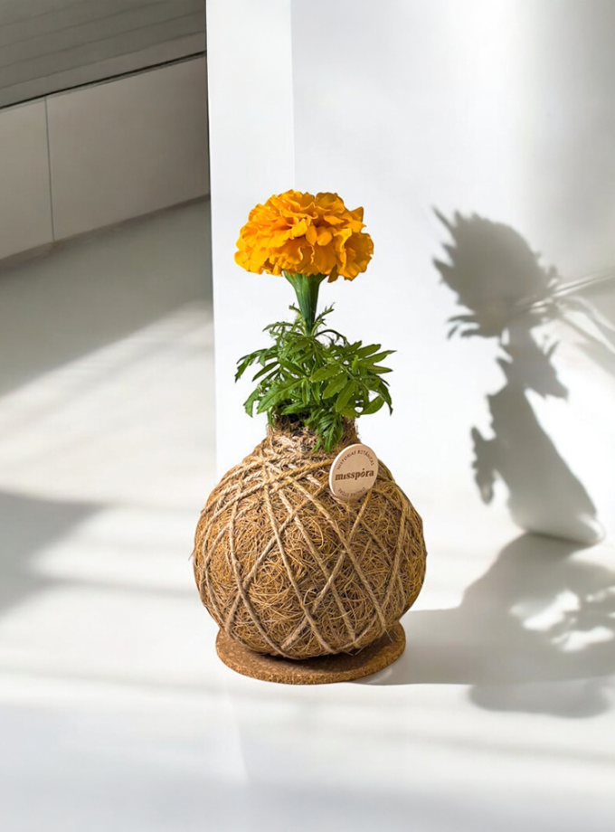 Kokedama de Fibra de Coco con Cempasúchil