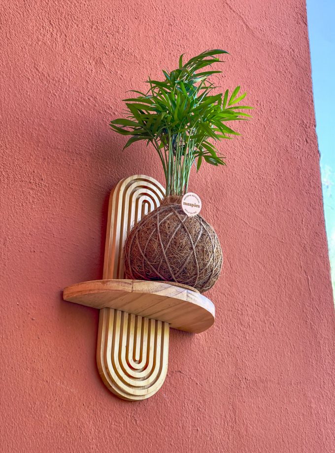 Estantería de madera para kokedamas