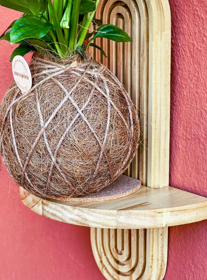 Estantería de madera para kokedamas
