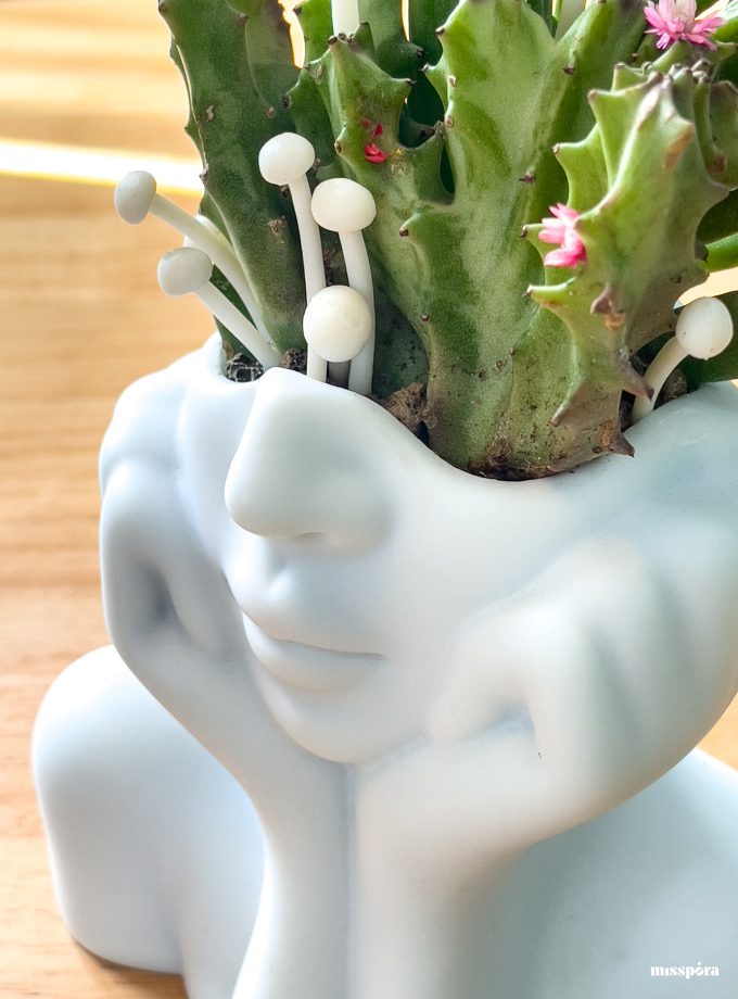 Escultura Viva Reina Espora – Resina