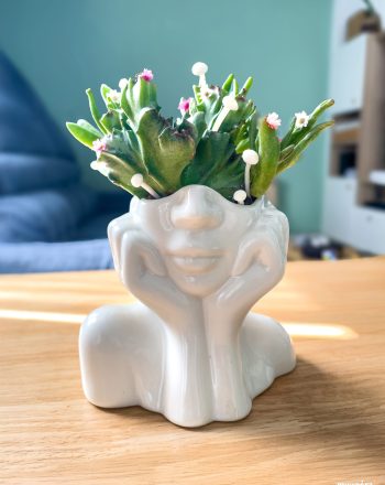 Escultura de ceramica blanca con forma de busto femenino intervenida con suculentas vivas, Euphorbia crestada y Crassula 'Hobbit', emergiendo desde la cabeza en una composición botánica inspirada en una estética postnatural.