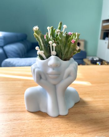 Escultura de resina blanca con forma de busto femenino intervenida con suculentas vivas, Euphorbia crestada y Crassula 'Hobbit', emergiendo desde la cabeza en una composición botánica inspirada en una estética postnatural.